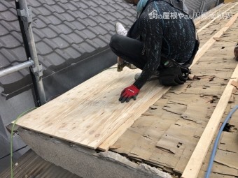 構造用合板