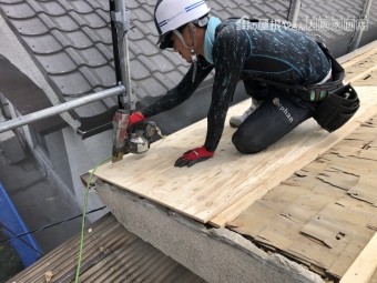 構造用合板