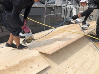 構造用合板