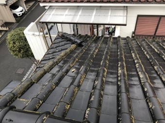 S瓦調査