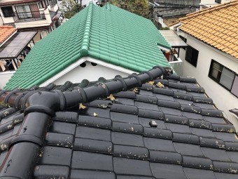 S瓦調査