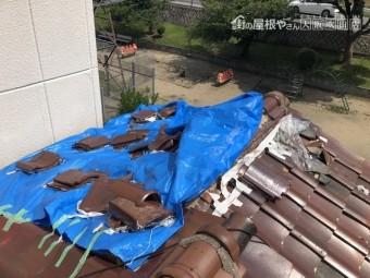 瓦屋根ブルーシート
