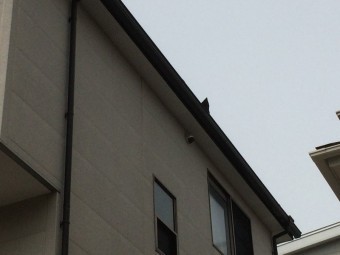 雨樋に落ちた割れたスレート