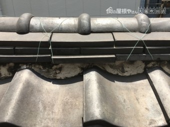 雨漏り調査