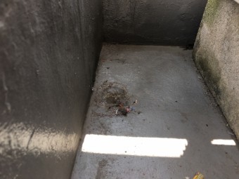 防水塗装の剥げたベランダバルコニー