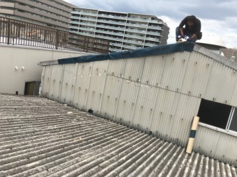 再養生