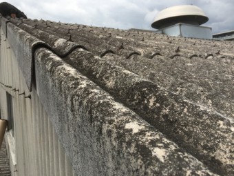 再養生