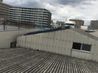 再養生