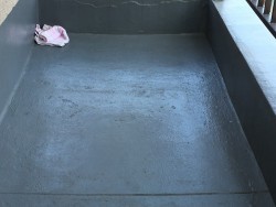 IMG_8166