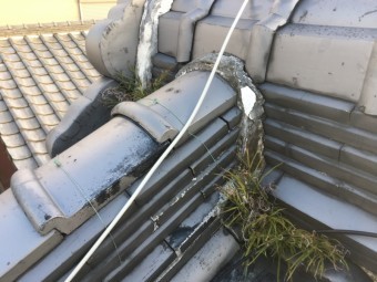 雑草の生えた瓦屋根