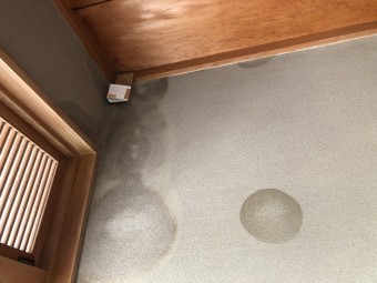 玄関壁雨染み
