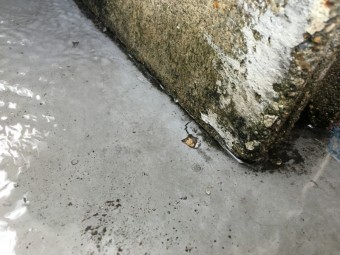 バルコニードレン廻り散水試験