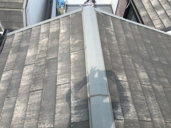 IMG_8534