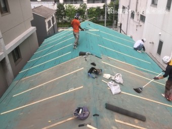 台風養生