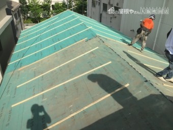 台風養生