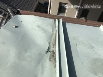 破れて穴のあいた金属屋根