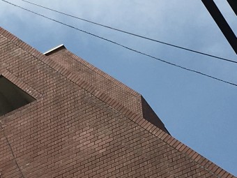 IMG_8937