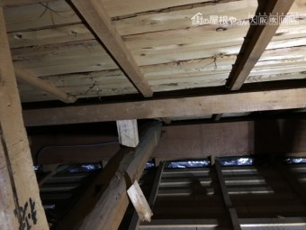 IMG_9172-columns2-overlay