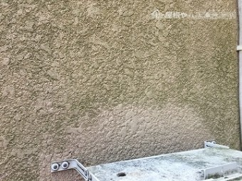 雨漏り調査