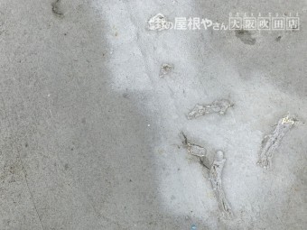 古く劣化した屋上ベランダの床