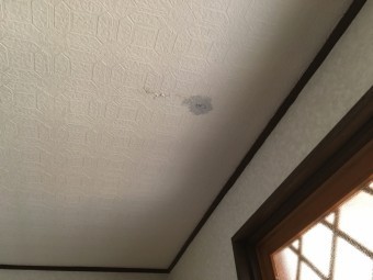 天井雨漏り雨染みクロス染み