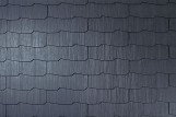 SV575W_200-columns4