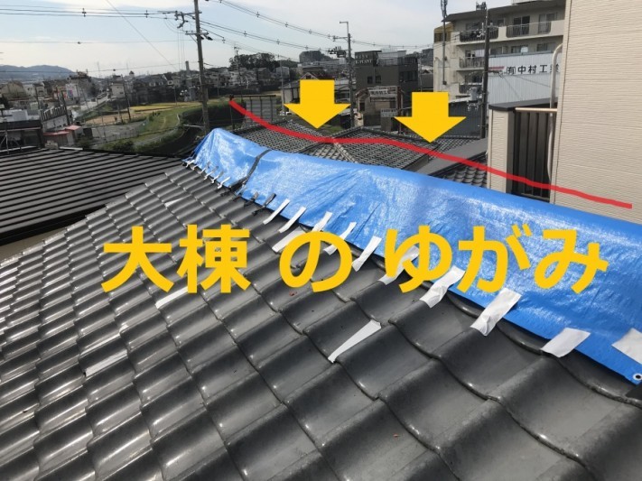 ae750db9d4e99f85ca9f9b3c68fc8835-columns1