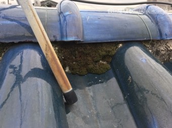 瓦屋根調査漆喰