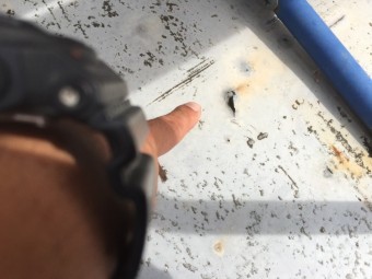防水調査