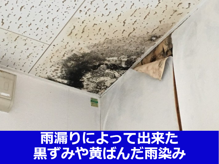 雨漏りによる天井の雨染み