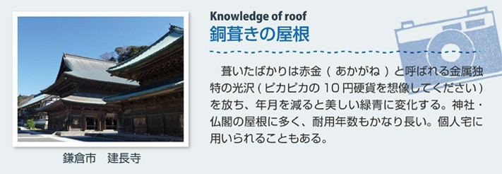 mamechishiki11-jup_02-columns1