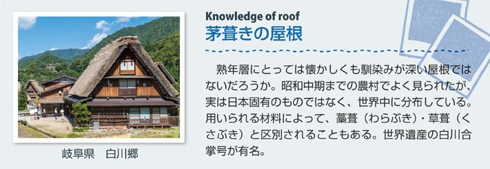 mamechishiki12-jup_02-columns1