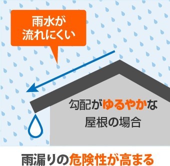mamechishiki3-jup-columns2