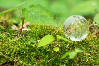 pixta_28328830_M