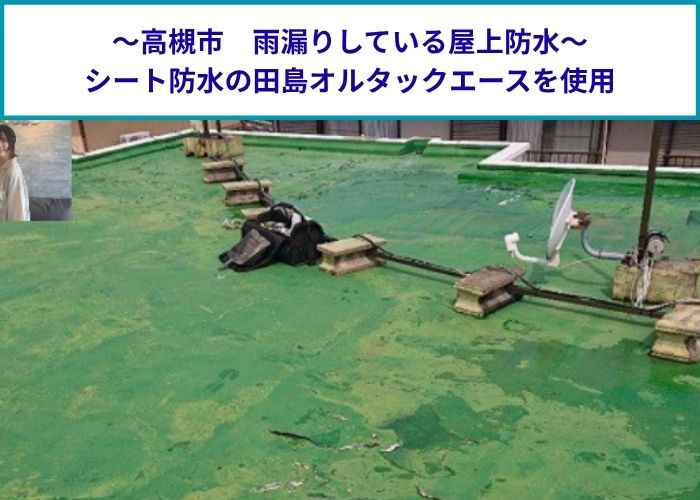 雨漏りしている屋上防水にシート防水である田島オルタックエースを使用する現場の様子