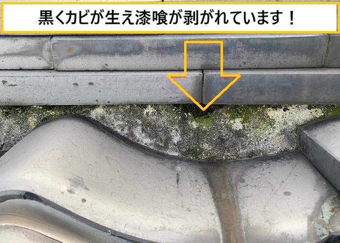 池田市｜瓦屋根から雑草が…放置すると雨漏りする可能性も！