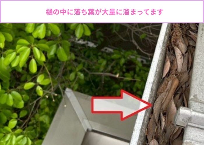 　雨樋の中に落ち葉が大量に溜まっている様子