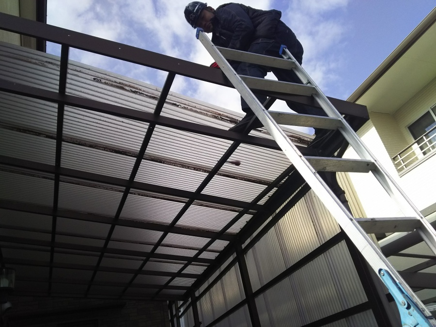 波板にハシゴ架けて作業