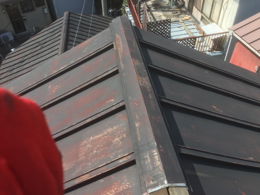 棟板金下地の木を調査