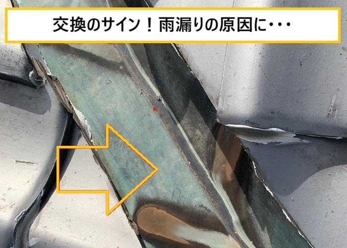 池田市｜瓦屋根から雑草が…放置すると雨漏りする可能性も！