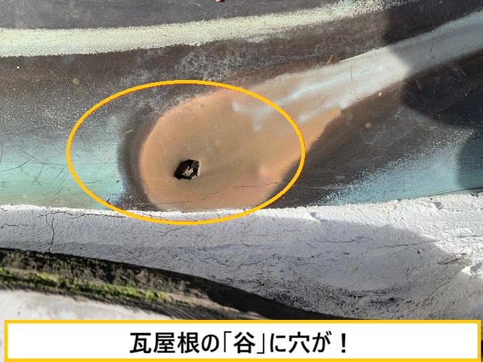箕面市｜瓦屋根に草が生える原因とは？雨漏りとの関係を無料点検で徹底解説！