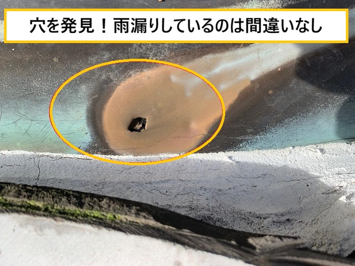 池田市｜瓦屋根から雑草が…放置すると雨漏りする可能性も！