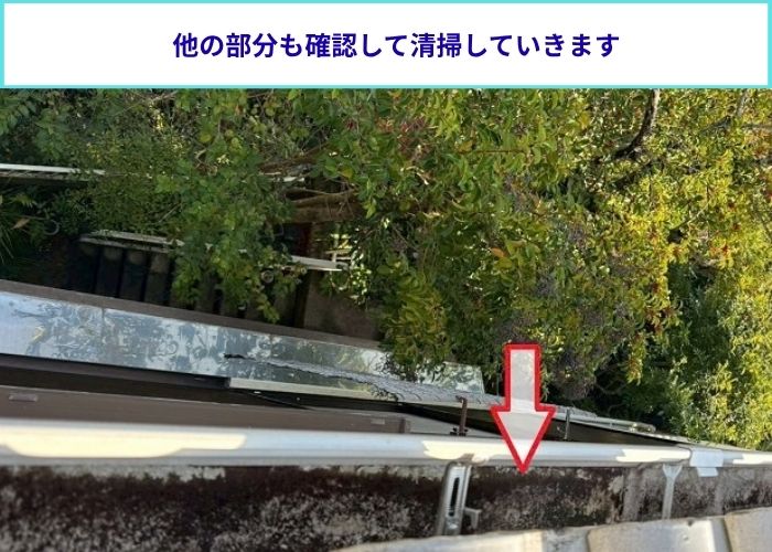 雨樋清掃