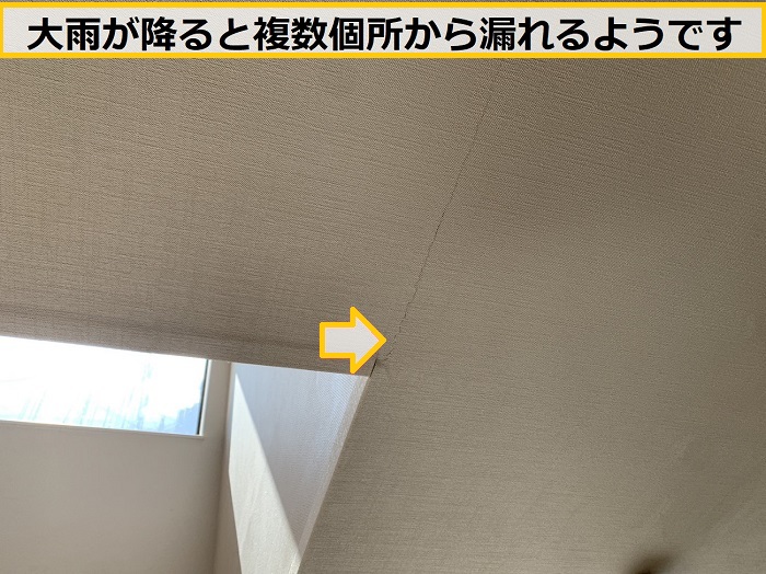 高槻市｜築10年でまさかの雨漏り！調査で判明した意外な原因とは？