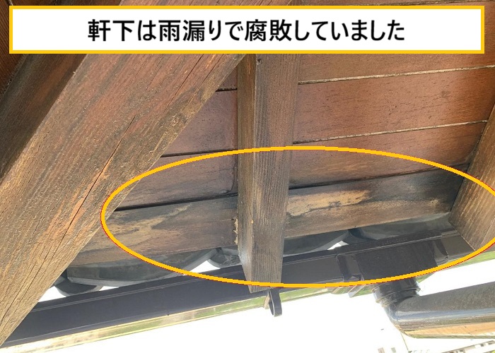 池田市｜瓦屋根から雑草が…放置すると雨漏りする可能性も！