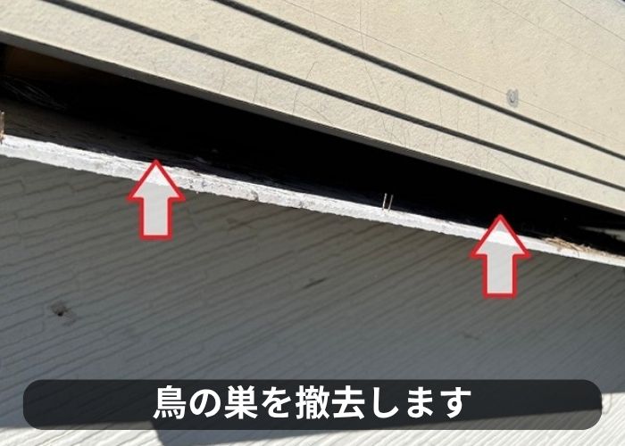 軒天内部の鳥の巣を撤去