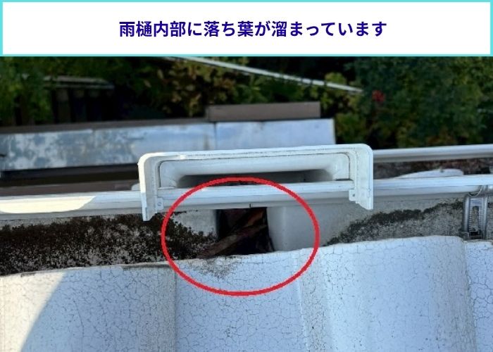 雨樋内部に溜まる落ち葉
