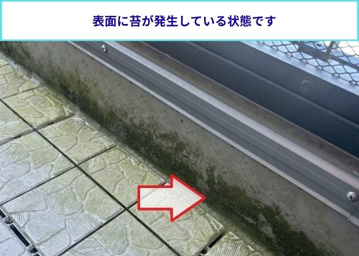 塩ビシートの表面に発生する苔