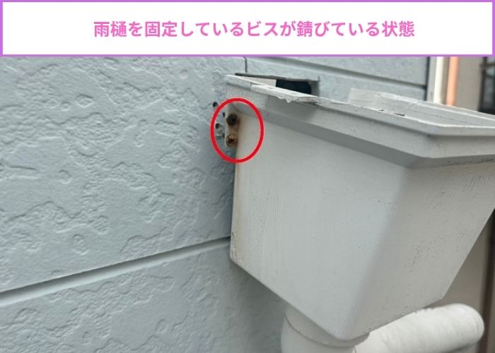 アパートの雨樋を固定しているビスが外れかけている様子