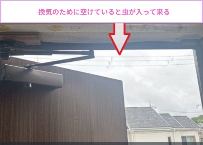 勝手口が空いている様子